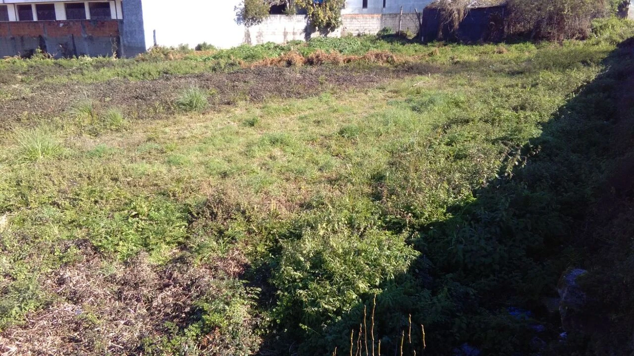 Terreno para Venda em Oliveira do Douro Foto 5