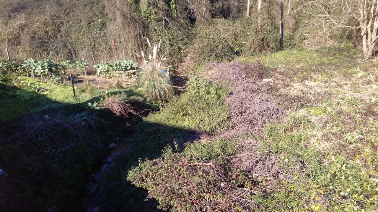 Terreno para Venda em Oliveira do Douro Foto 1