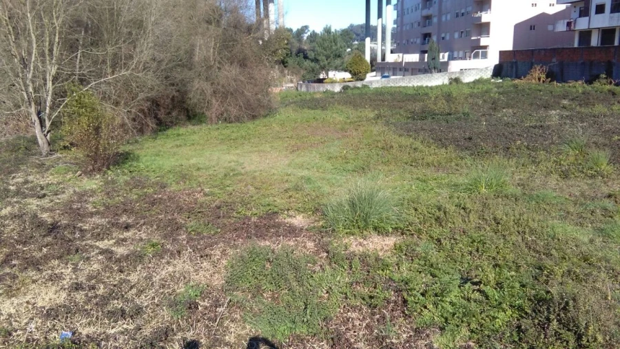 Terreno para Venda em Oliveira do Douro Foto 2