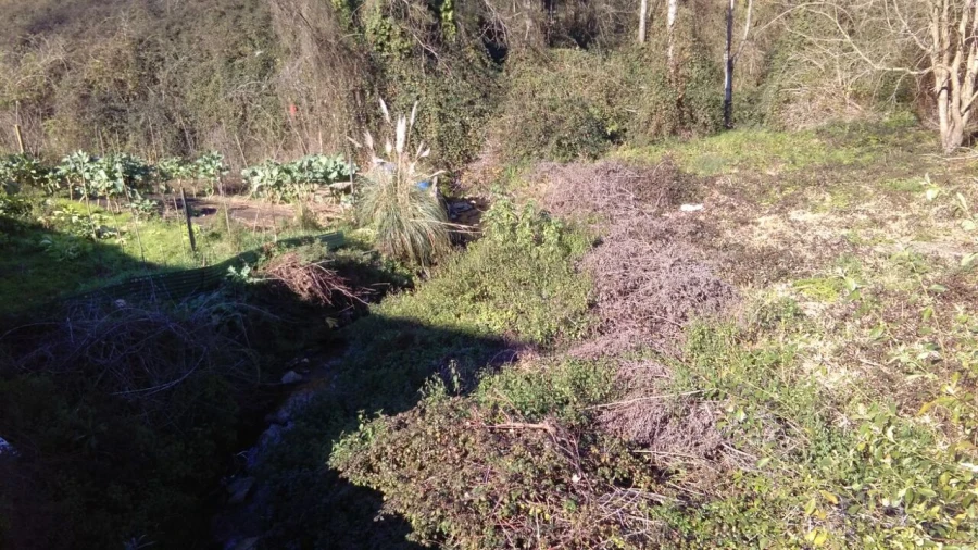 Terreno para Venda em Oliveira do Douro Foto 1