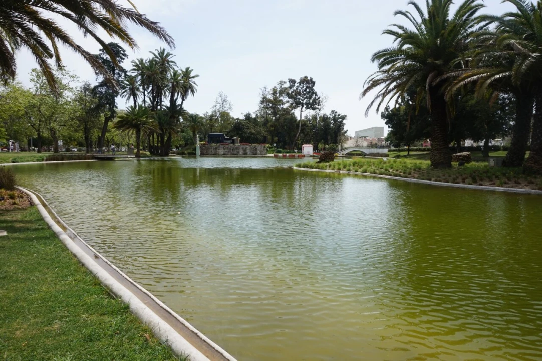 Loja para Venda em Alvalade Foto 15