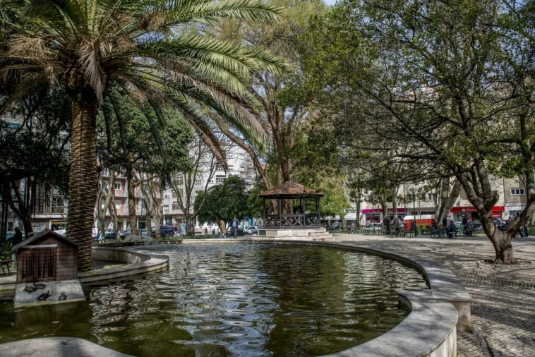 Loja para Arrendamento em Campo de Ourique Foto 6