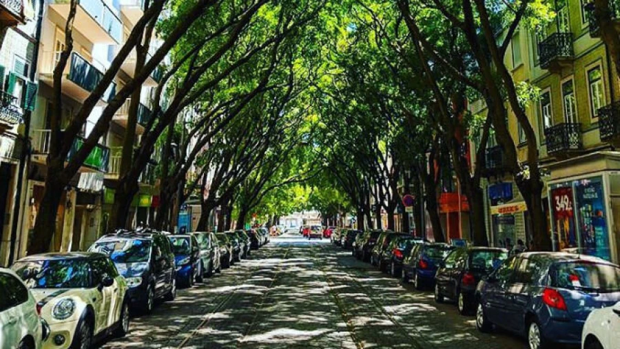 Loja para Arrendamento em Campo de Ourique Foto 7