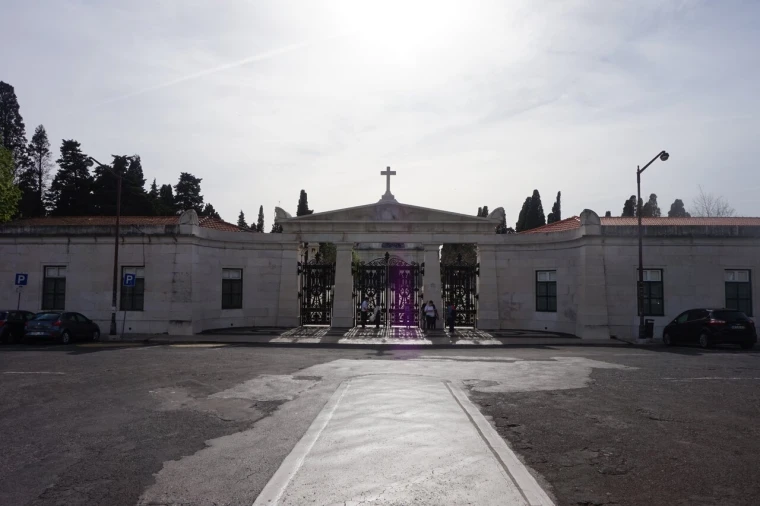 Loja para Arrendamento em Campo de Ourique Foto 18