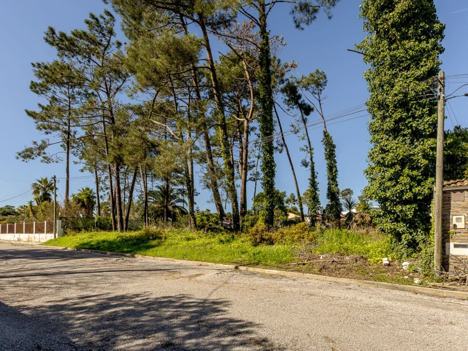 Terreno para Venda em Corroios Foto 7