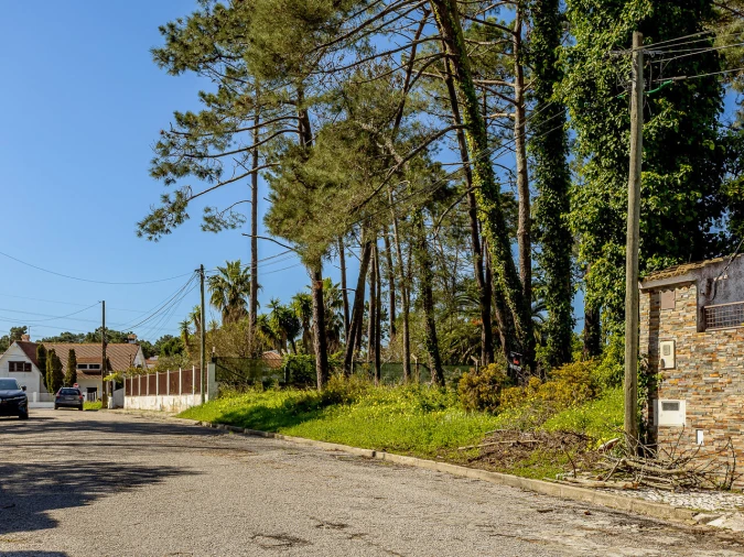 Terreno para Venda em Corroios Foto 9