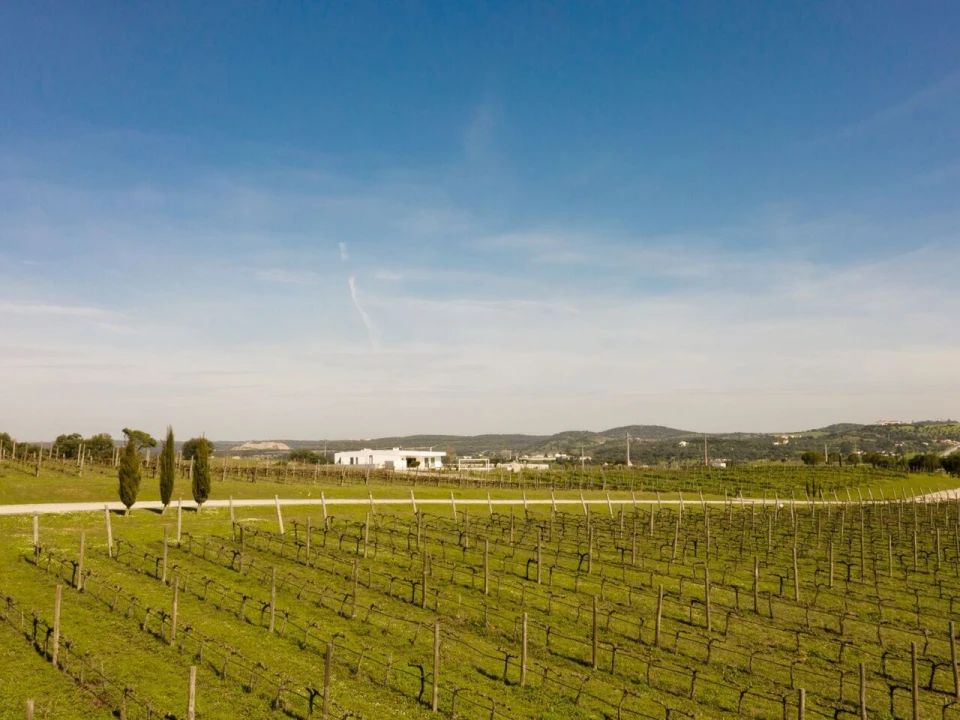 Moradia T4 para Venda em Foros de Vale de Figueira Foto 6