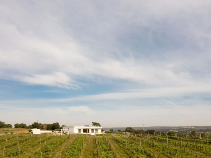 Moradia T4 para Venda em Foros de Vale de Figueira Foto 5