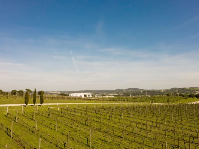 Moradia T4 para Venda em Foros de Vale de Figueira Foto 6