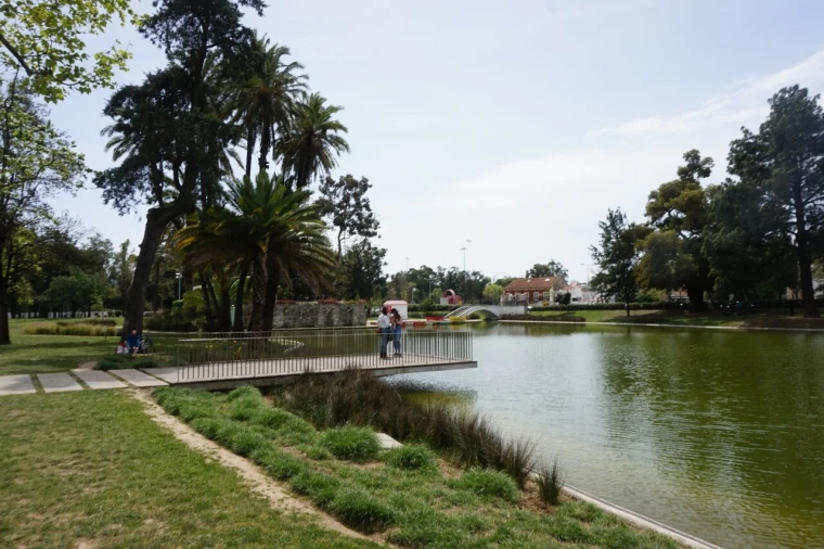 Apartamento T3 para Venda em Alvalade Foto 14