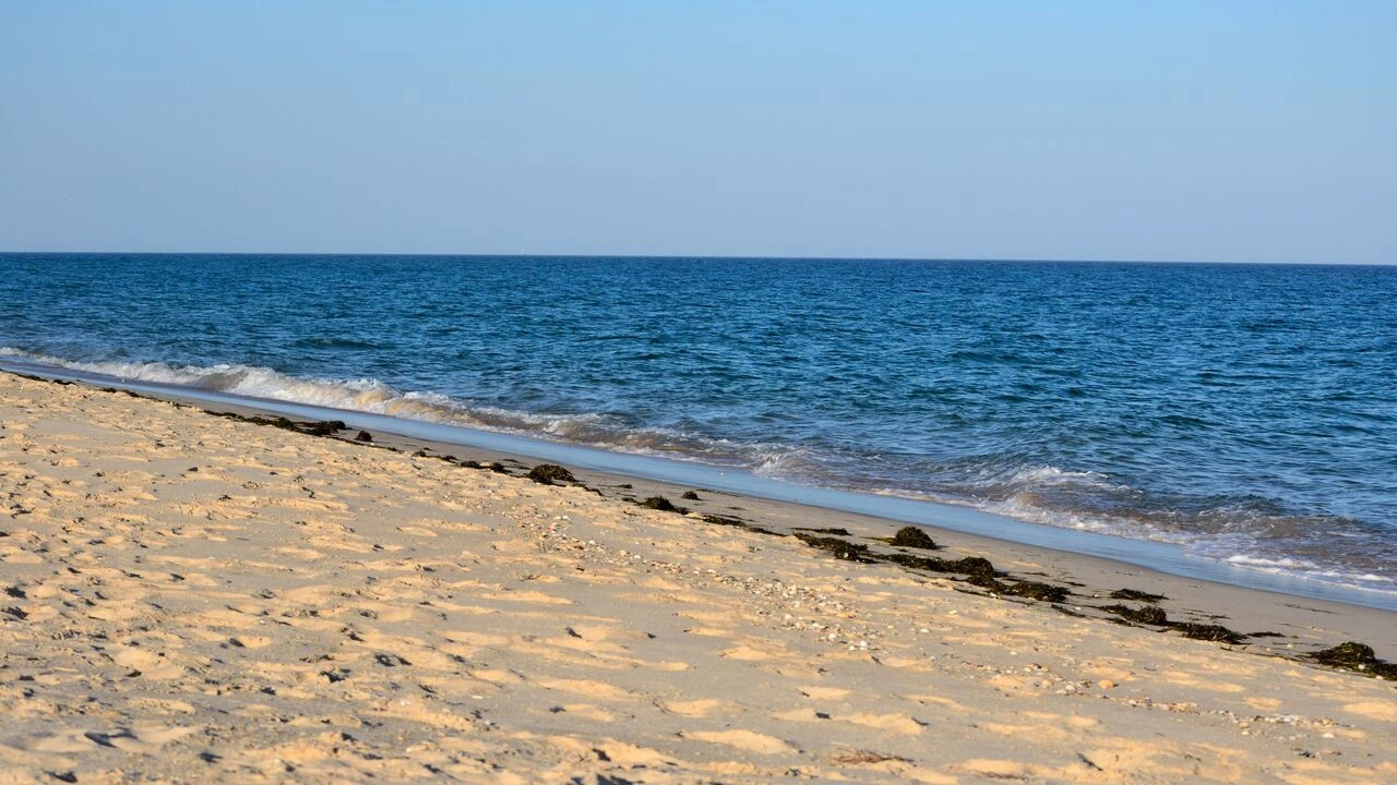 Apartamento T1 para Venda em Santa Luzia Foto 20