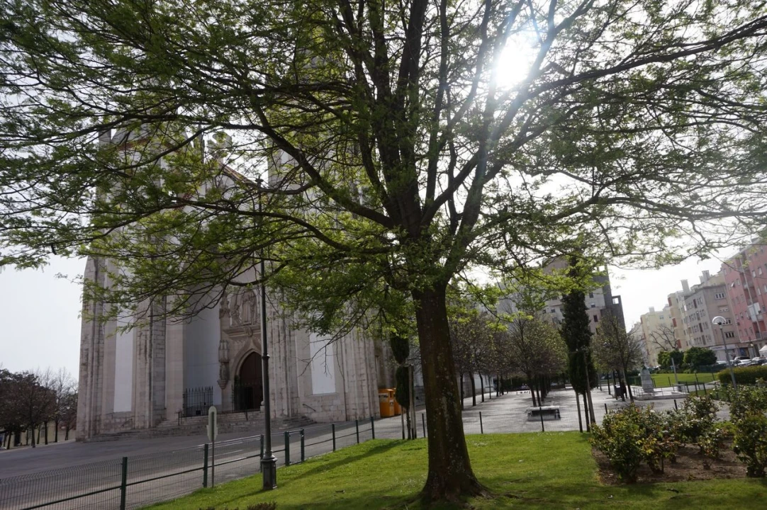 Apartamento T0 para Venda em Campo de Ourique Foto 16