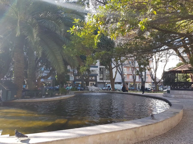 Apartamento T0 para Venda em Campo de Ourique Foto 15