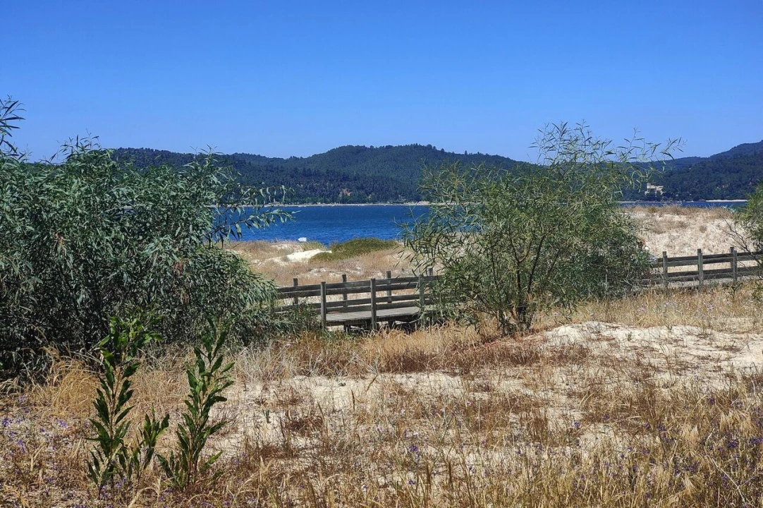 Apartamento T1 para Venda em Carvalhal Foto 36