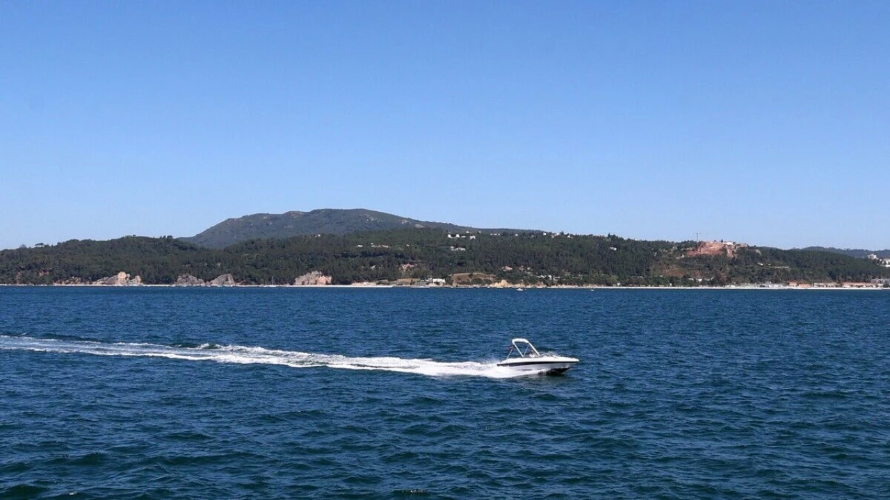 Apartamento T1 para Venda em Carvalhal Foto 39