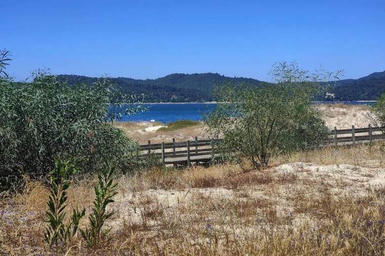 Apartamento T1 para Venda em Carvalhal Foto 36