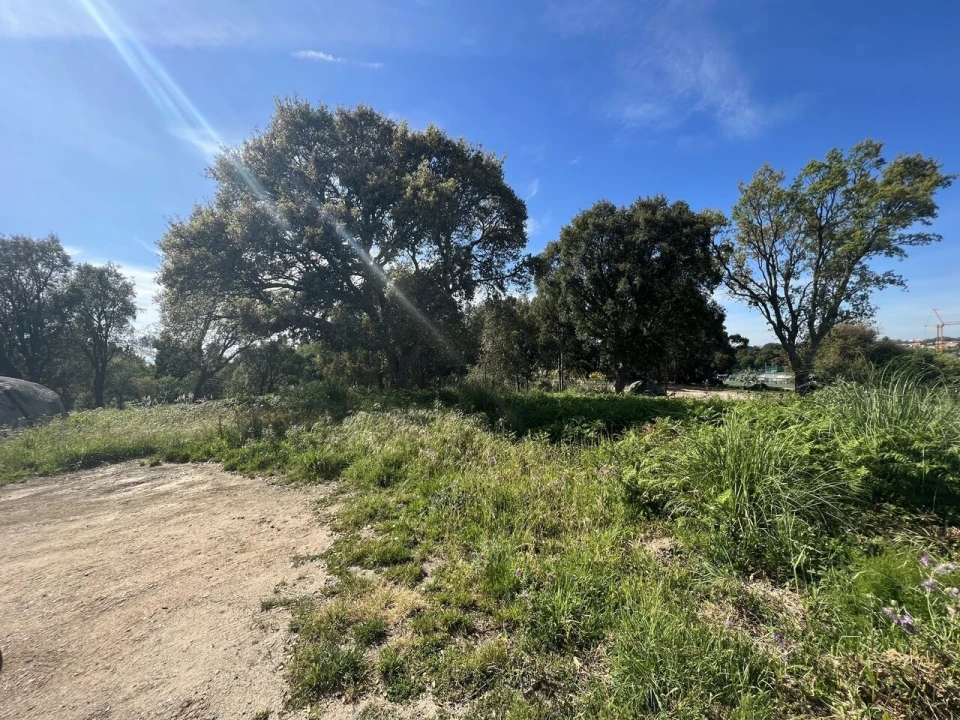 Terreno para Venda em Gulpilhares e Valadares Foto 2