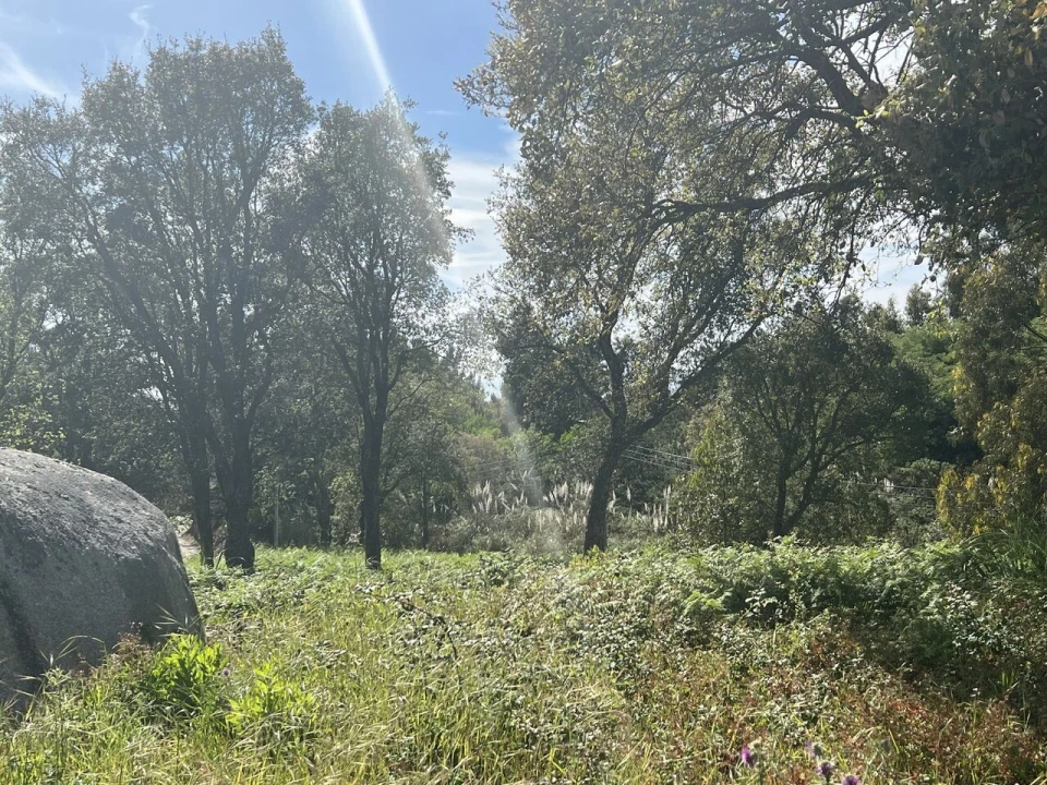Terreno para Venda em Gulpilhares e Valadares Foto 6