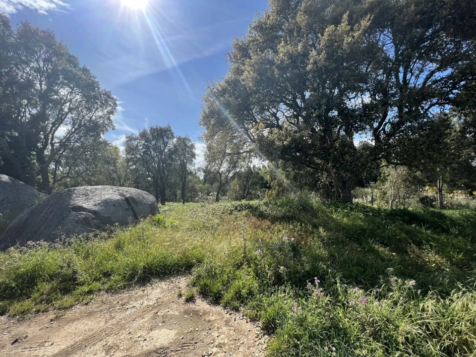 Terreno para Venda em Gulpilhares e Valadares Foto 9