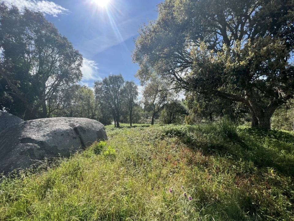 Terreno para Venda em Gulpilhares e Valadares Foto 11