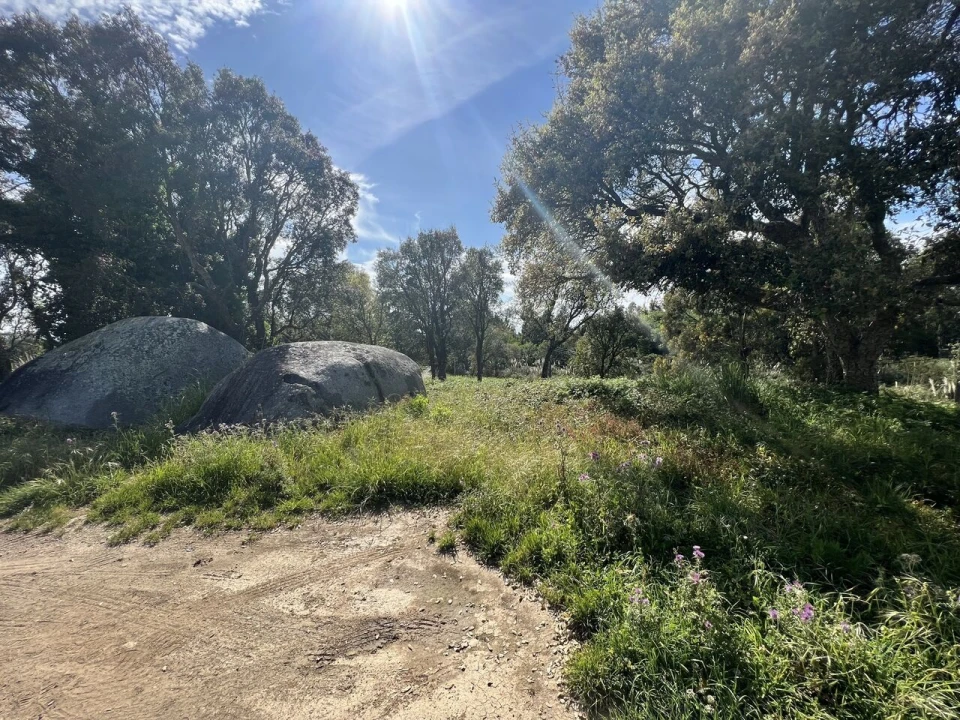Terreno para Venda em Gulpilhares e Valadares Foto 12