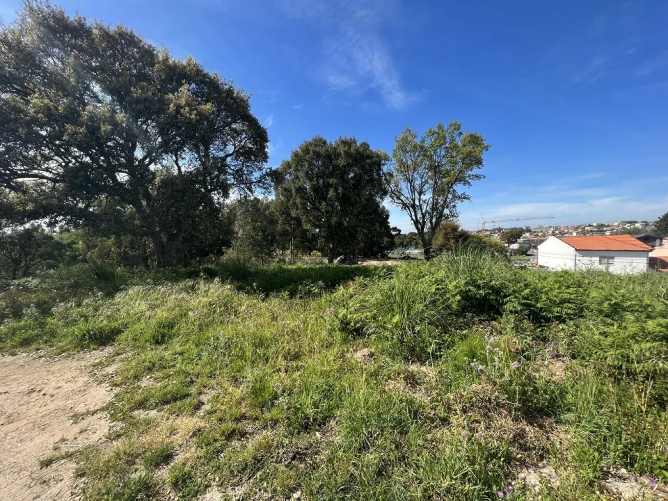 Terreno para Venda em Gulpilhares e Valadares Foto 13