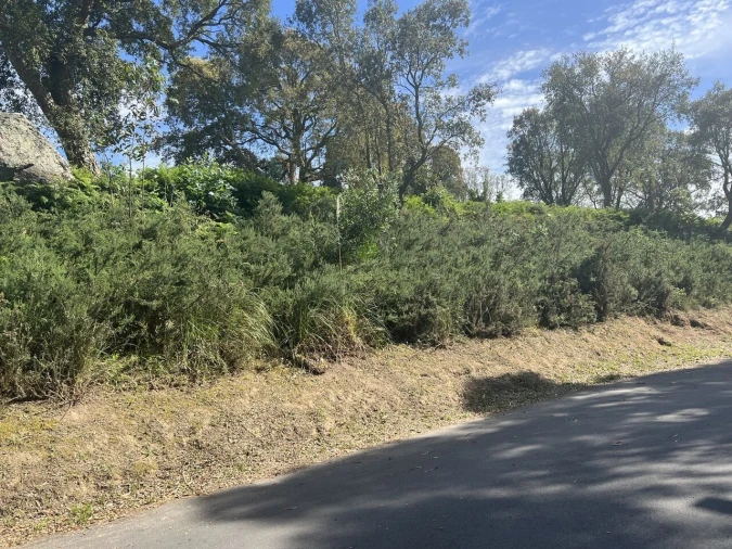 Terreno para Venda em Gulpilhares e Valadares Foto 3