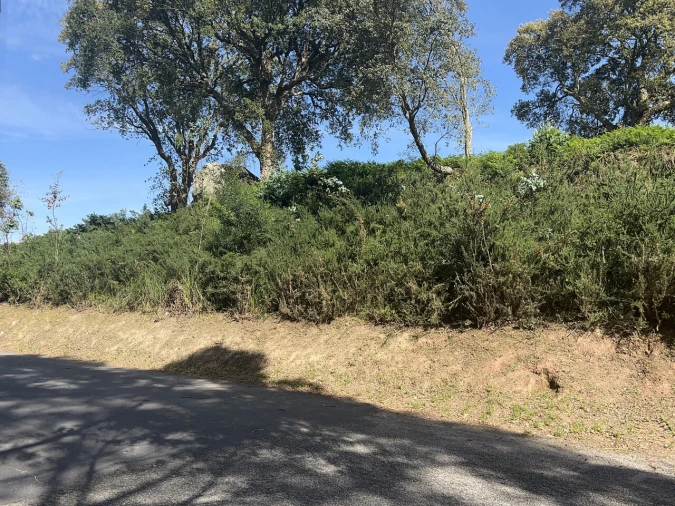 Terreno para Venda em Gulpilhares e Valadares Foto 4