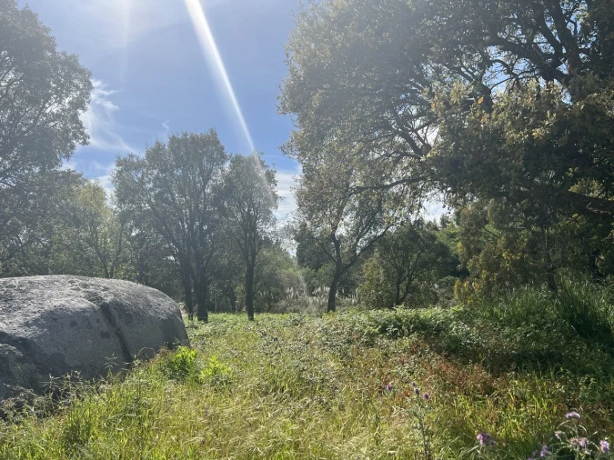 Terreno para Venda em Gulpilhares e Valadares Foto 5