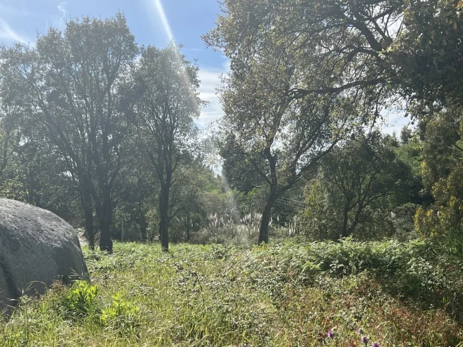 Terreno para Venda em Gulpilhares e Valadares Foto 6