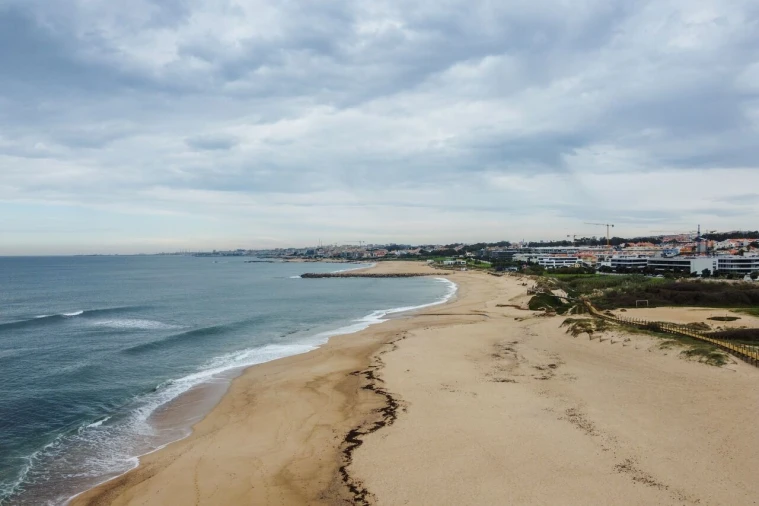Terreno para Venda em Madalena Foto 18