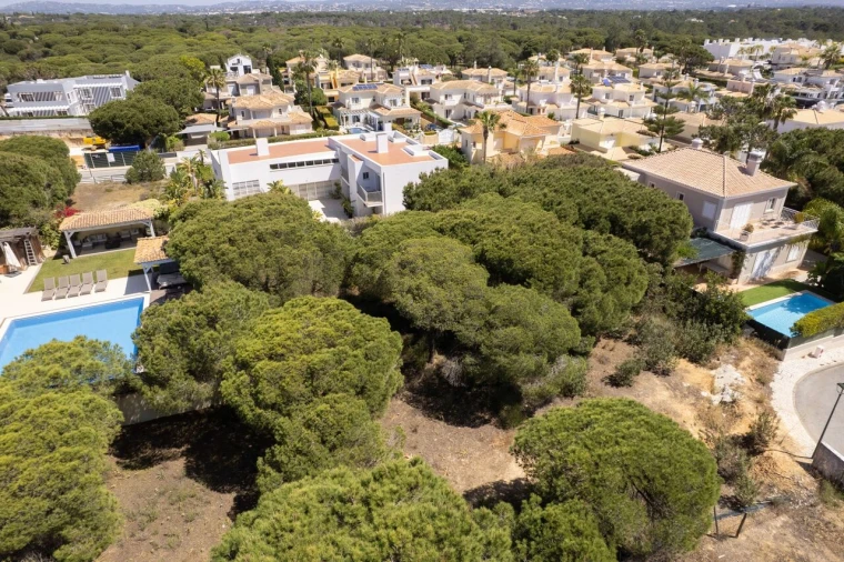 Terreno para Venda em Almancil Foto 3