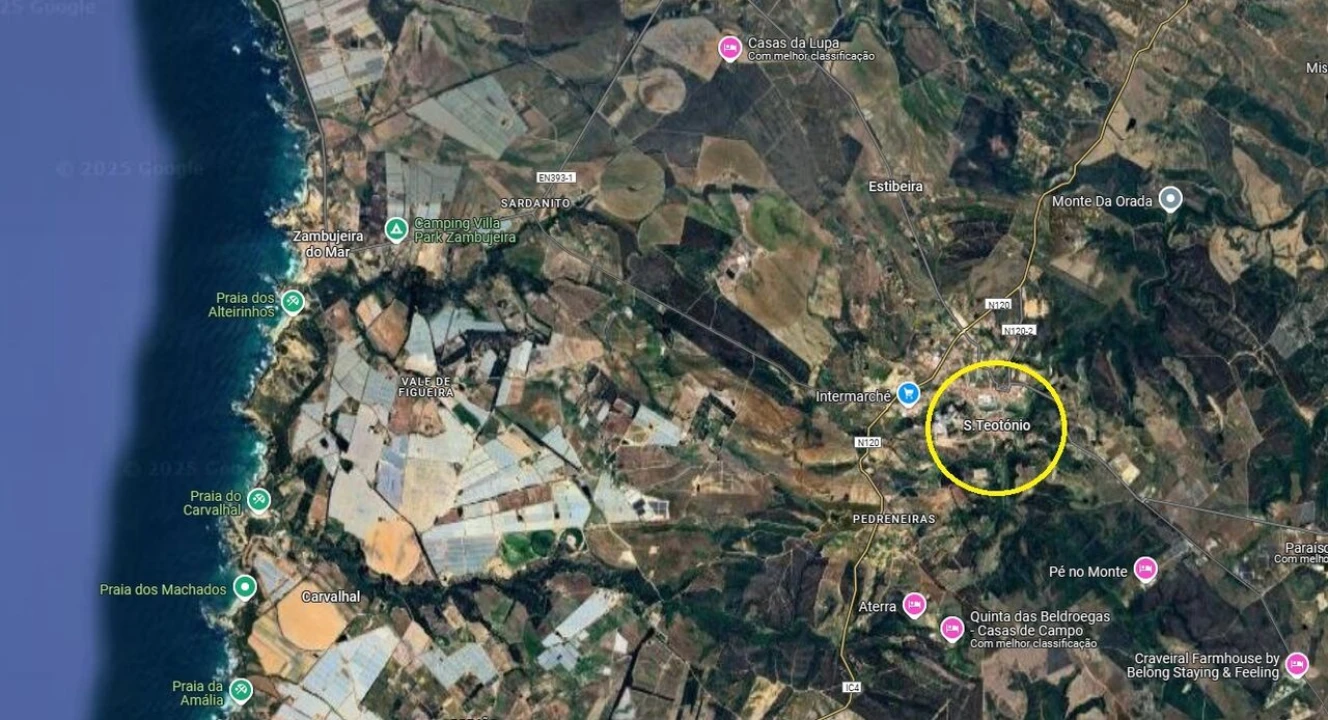 Terreno para Venda em São Teotónio Foto 3