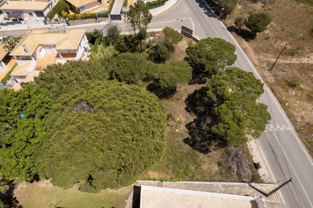 Terreno para Venda em Almancil Foto 12