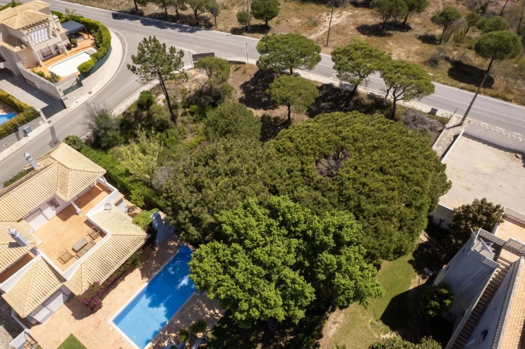 Terreno para Venda em Almancil Foto 9