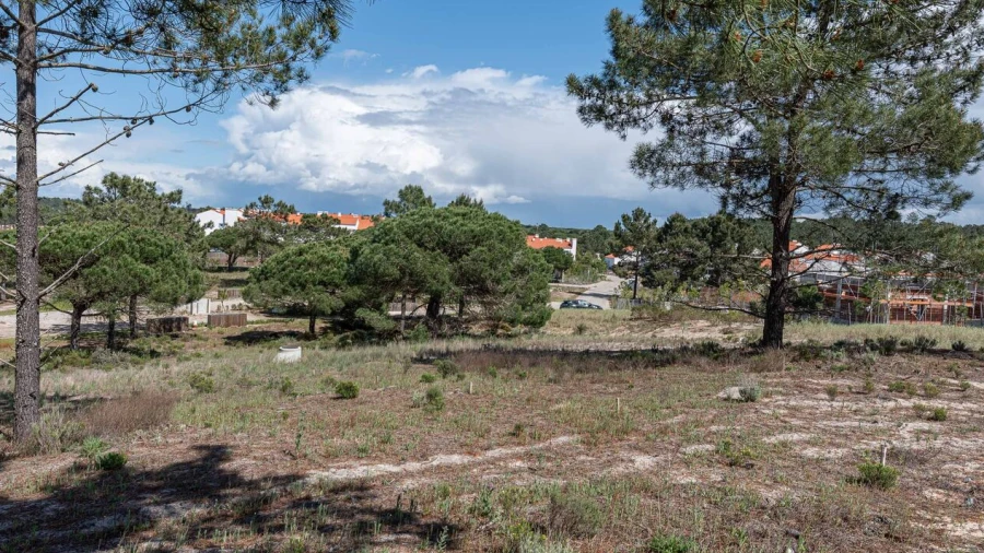 Terreno para Venda em Comporta