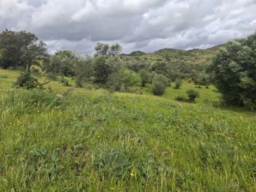 Terreno para Venda em Castro Marim