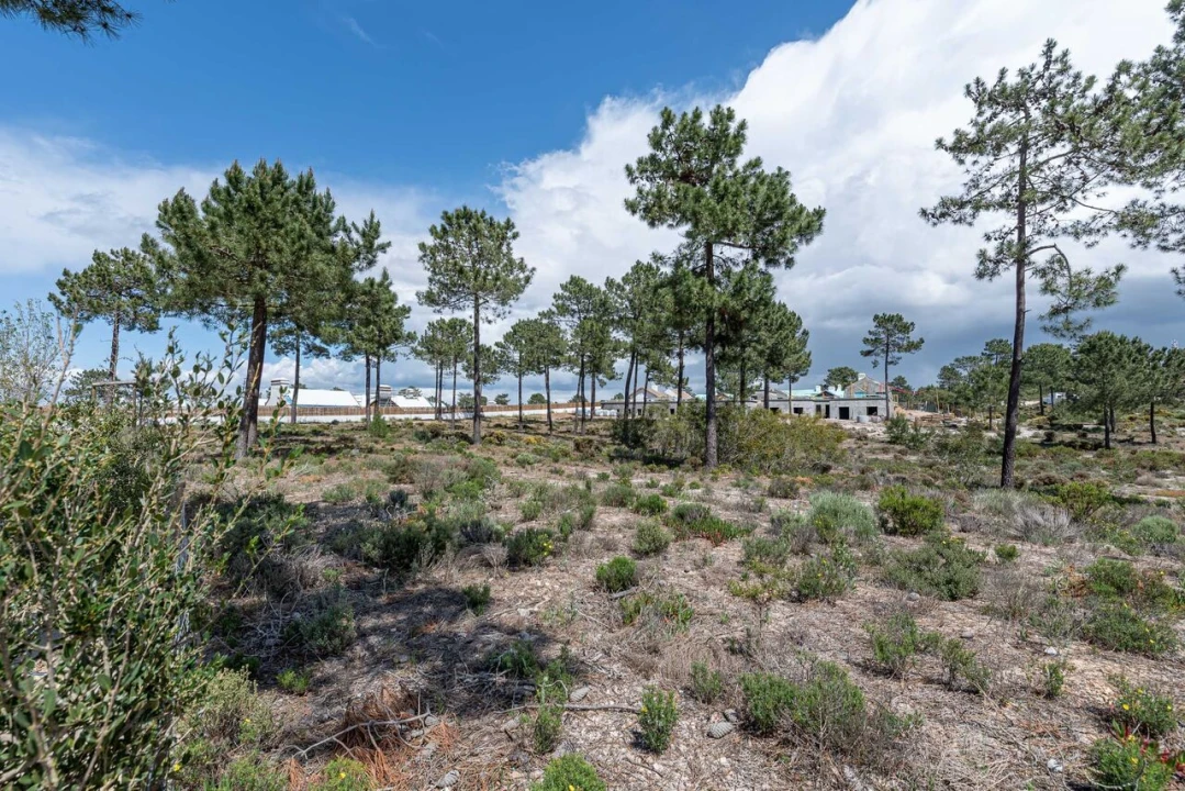 Terreno para Venda em Comporta Foto 4