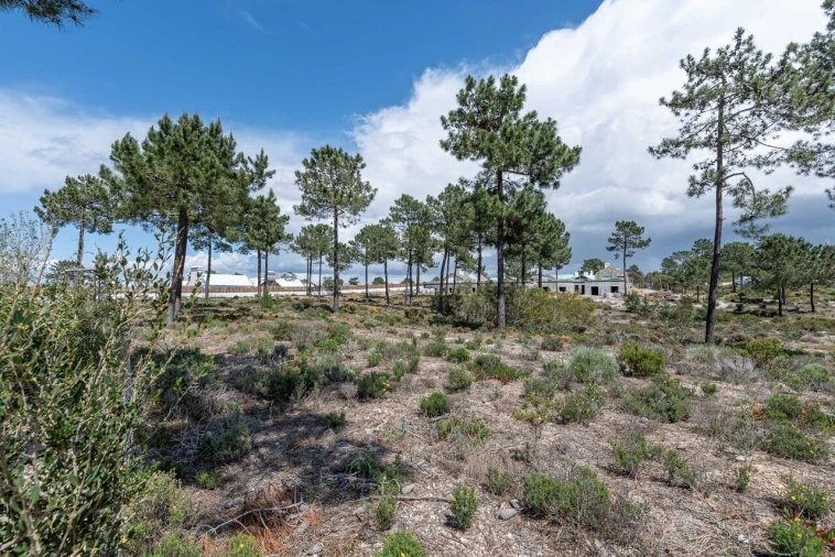 Terreno para Venda em Comporta Foto 4