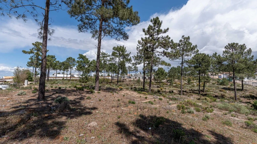 Terreno para Venda em Comporta