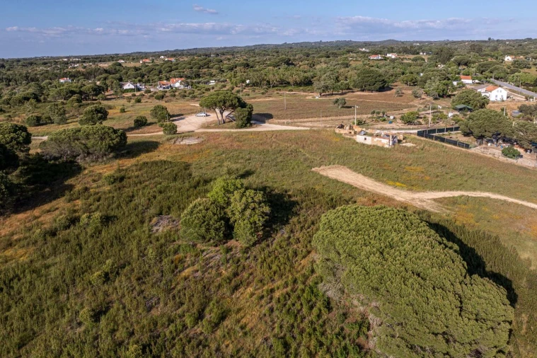 Terreno para Venda em Melides Foto 3