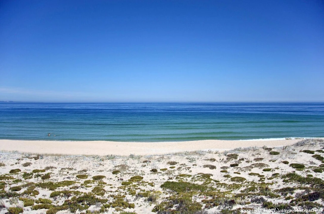 Moradia T4 para Venda em Comporta Foto 19