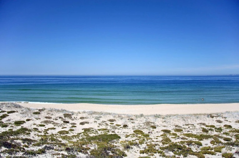 Moradia T4 para Venda em Comporta Foto 23