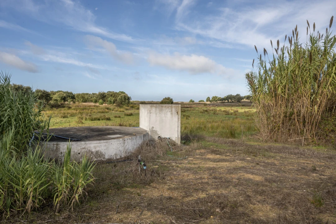 Quinta T3 para Venda em Alto do Seixalinho, Santo André e Verderena Foto 10
