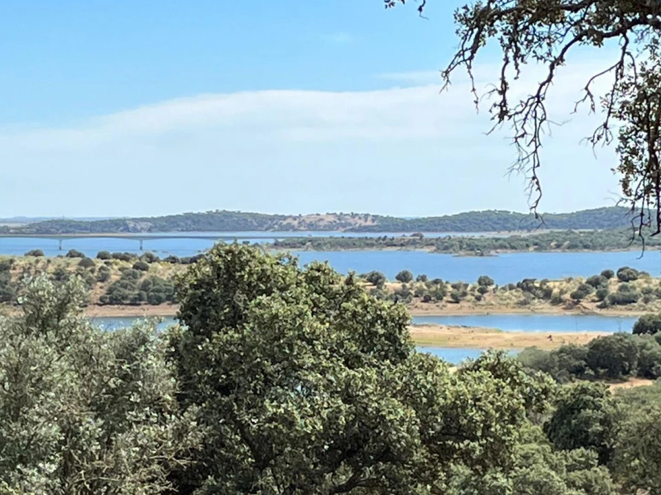Terreno para Venda em Reguengos de Monsaraz Foto 5