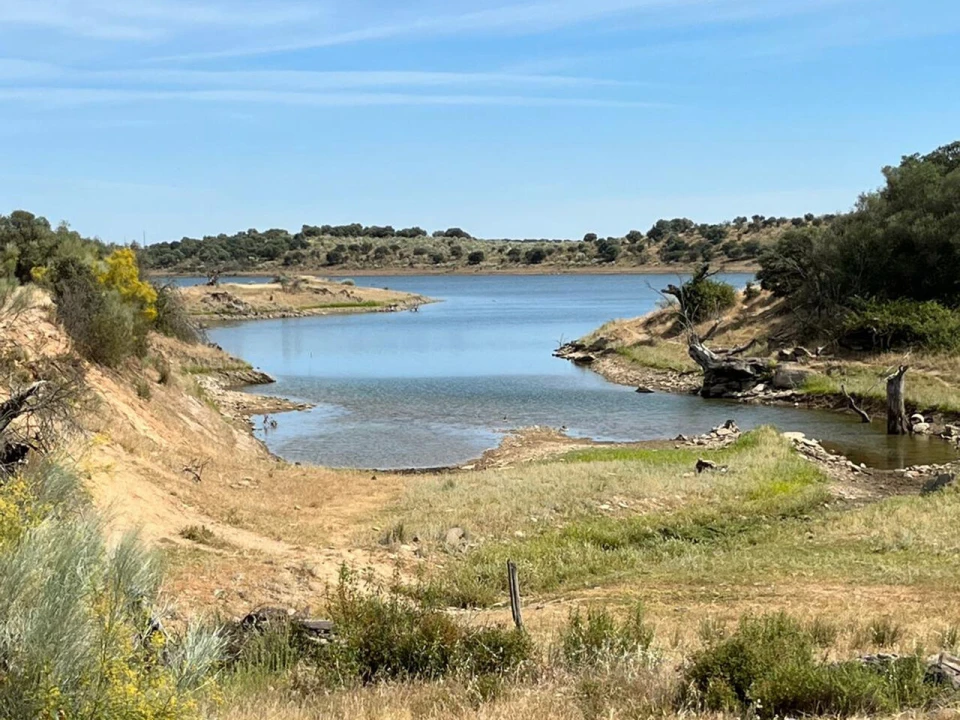 Terreno para Venda em Reguengos de Monsaraz Foto 7