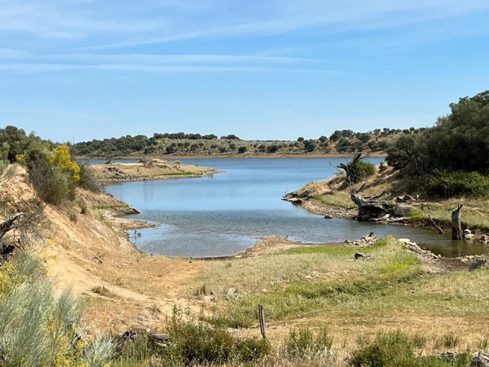 Terreno para Venda em Reguengos de Monsaraz Foto 9