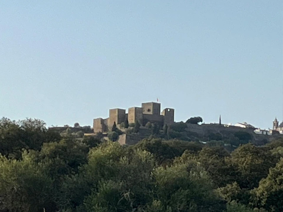 Terreno para Venda em Reguengos de Monsaraz Foto 10