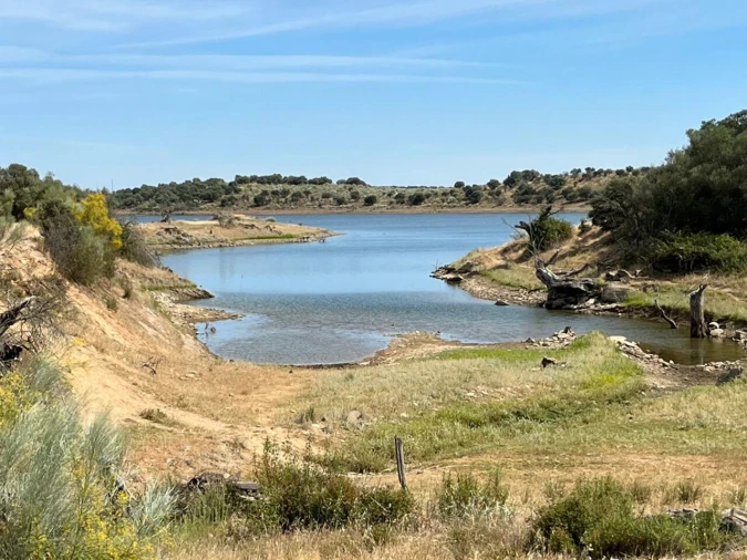 Terreno para Venda em Reguengos de Monsaraz Foto 7