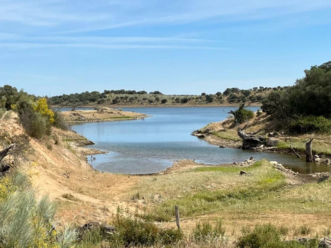 Terreno para Venda em Reguengos de Monsaraz Foto 9